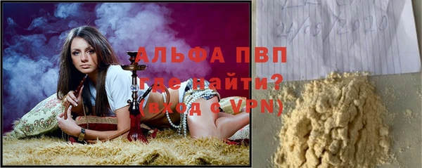 гидра Алексин