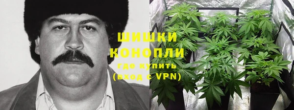 мяу мяу мука Абаза