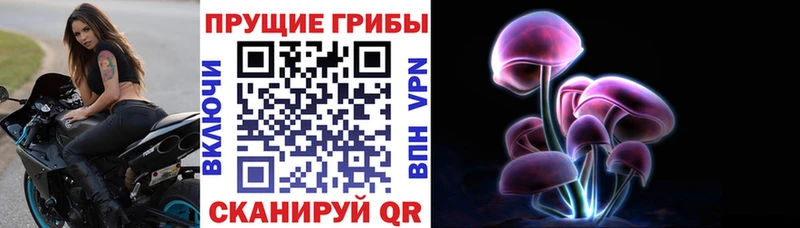 Псилоцибиновые грибы MAGIC MUSHROOMS  что такое   Избербаш 